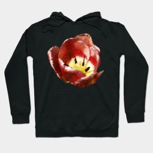 Tulip Hoodie